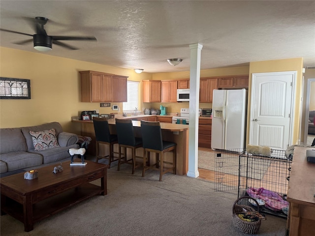 120 N 8th St, Hamilton, MT 59840 - living area featuring ceiling fan, light carpet, and a textured ceiling