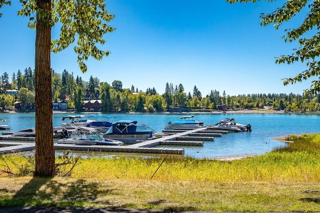 3 Bearberry Ln, Whitefish, MT 59937 - dock with a water view