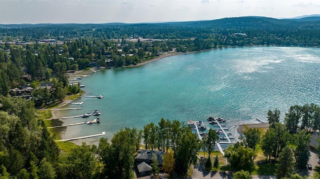 3 Bearberry Ln, Whitefish, MT 59937 - aerial view of property's location featuring a nearby body of water