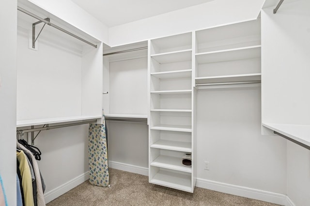 33 Shale Ct, Kalispell, MT 59901 - spacious closet featuring carpet