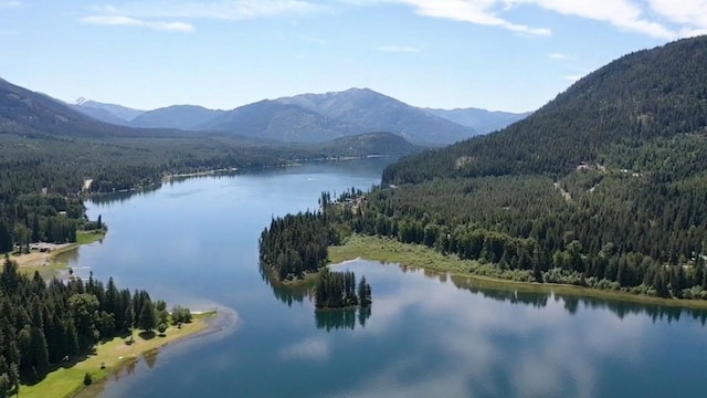71 Halo Dr, Troy, MT 59935 - bird's eye view of a forest and a water and mountain view