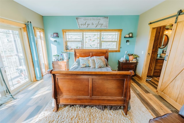 7 Papson Ridge Ln, Hall, MT 59837 - bedroom featuring a barn door and light wood-style floors