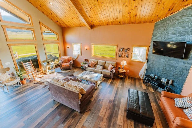 7 Papson Ridge Ln, Hall, MT 59837 - living area with wood finished floors, healthy amount of natural light, an accent wall, and a wood ceiling with exposed beams