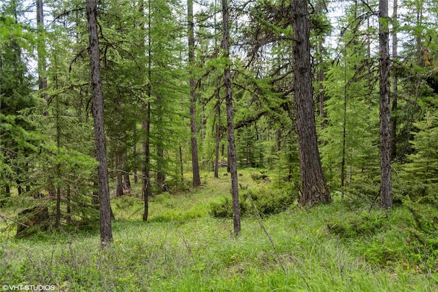 311 Bear Trap Rd, Rexford, MT 59930