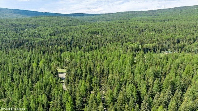 311 Bear Trap Rd, Rexford, MT 59930