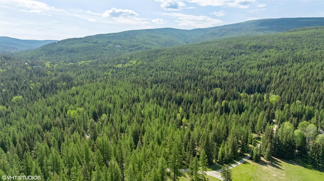 311 Bear Trap Rd, Rexford, MT 59930