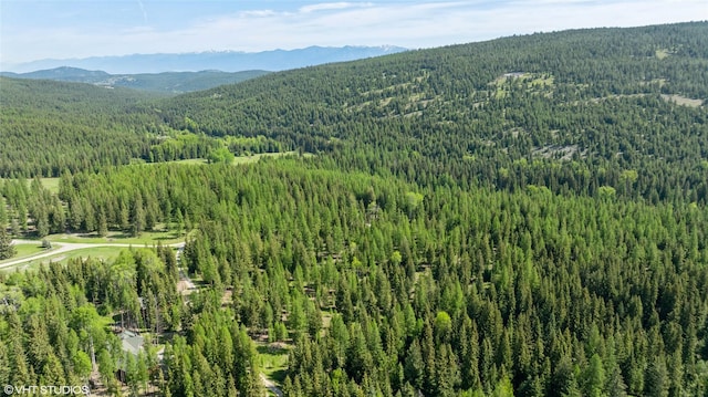 311 Bear Trap Rd, Rexford, MT 59930