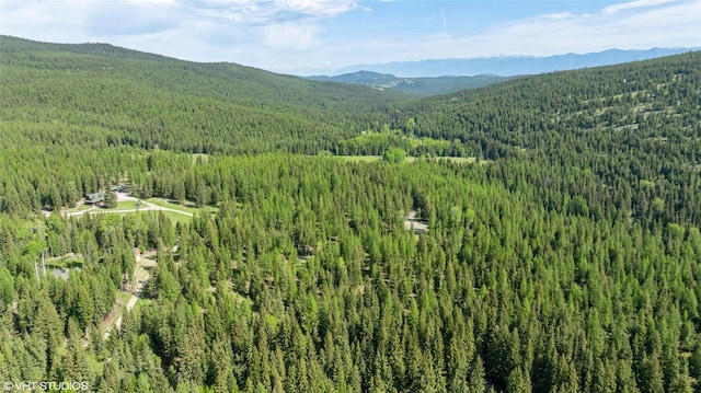 311 Bear Trap Rd, Rexford, MT 59930