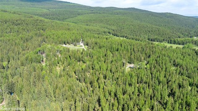 311 Bear Trap Rd, Rexford, MT 59930