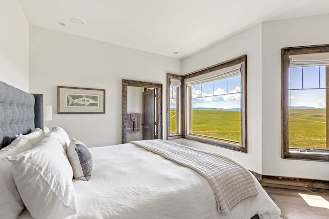 99 Little Belt Way, Belt, MT 59412 - bedroom with multiple windows and wood finished floors