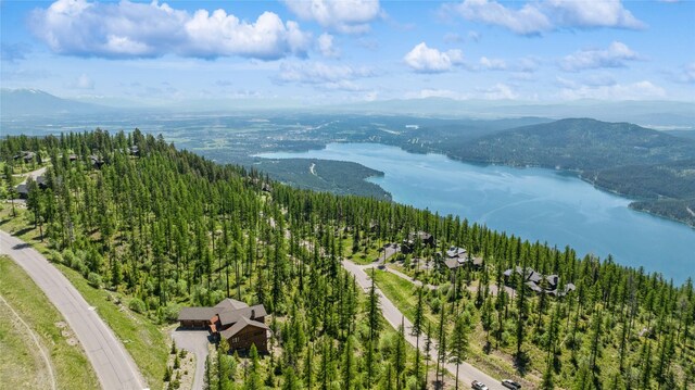 317 Elk Highlands Dr, Whitefish, MT 59937 - bird's eye view of a heavily wooded area and a water and mountain view