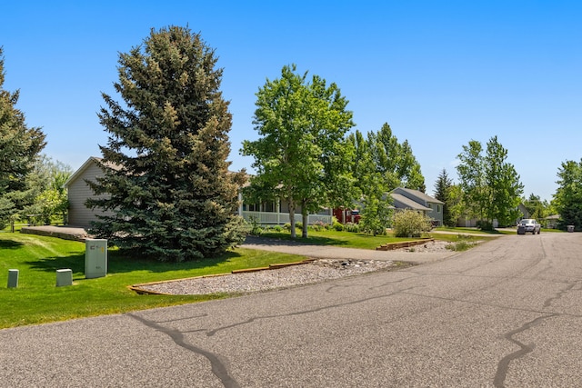 370 Prospector Trl, Bozeman, MT 59718 - view of front of home with a front yard