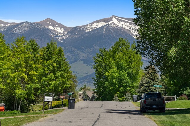 370 Prospector Trl, Bozeman, MT 59718 - view of mountain background
