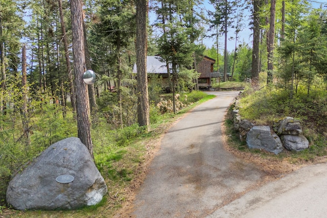 33535 Cherry Ln, Bigfork, MT 59911 - view of surrounding community