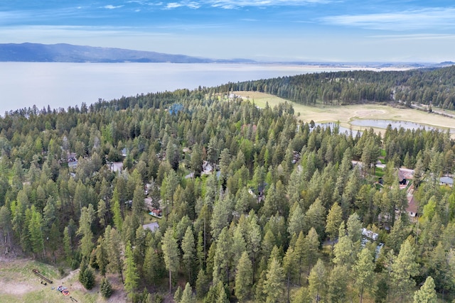 33535 Cherry Ln, Bigfork, MT 59911 - aerial view of property's location featuring a heavily wooded area and a water and mountain view