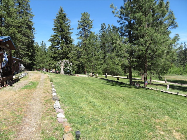 13567 Rosco Rd, Alberton, MT 59820 - view of green lawn