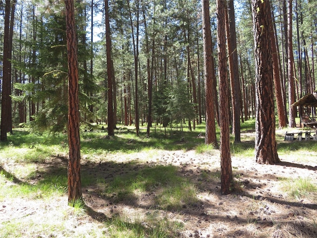 13567 Rosco Rd, Alberton, MT 59820 - view of tree filled area