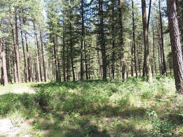 13567 Rosco Rd, Alberton, MT 59820 - view of woods