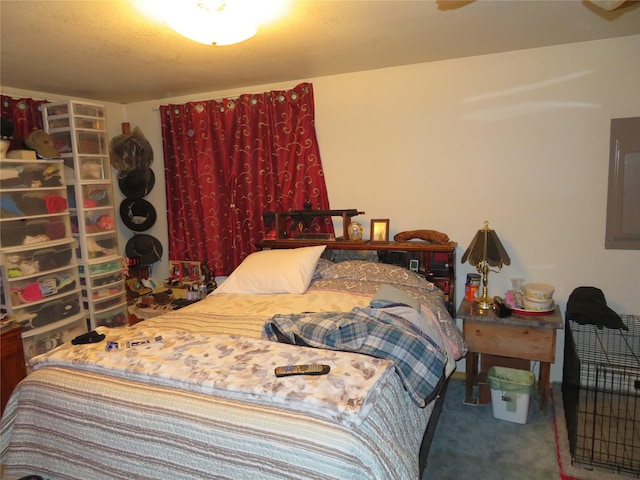13567 Rosco Rd, Alberton, MT 59820 - carpeted bedroom featuring electric panel