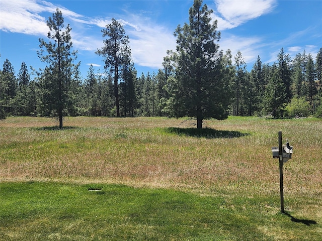 127 Patricia Way, Hamilton, MT 59840 - view of yard featuring a view of trees