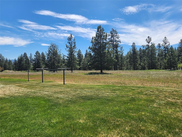 127 Patricia Way, Hamilton, MT 59840 - view of green lawn