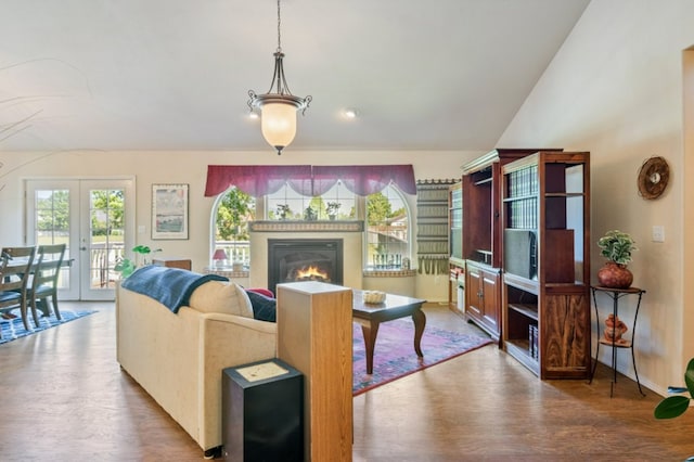 142 Thomas St, Hamilton, MT 59840 - living room featuring wood finished floors, a glass covered fireplace, and french doors
