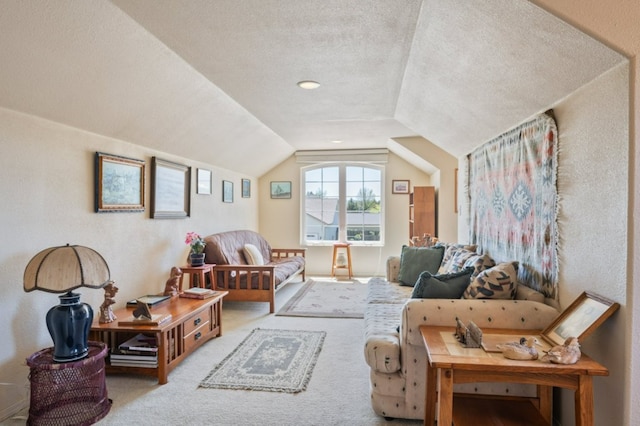 142 Thomas St, Hamilton, MT 59840 - living room with vaulted ceiling, carpet, and a textured ceiling