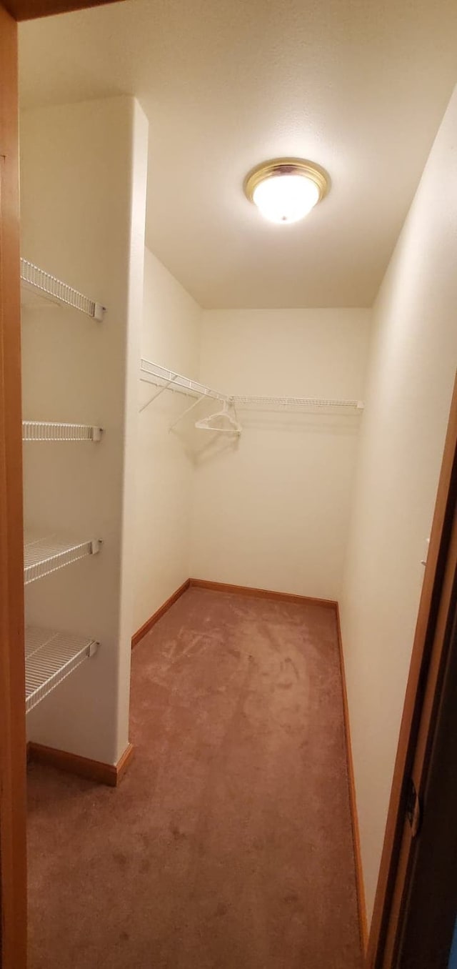 42843 Jette Lake Trl, Polson, MT 59860 - walk in closet with carpet flooring