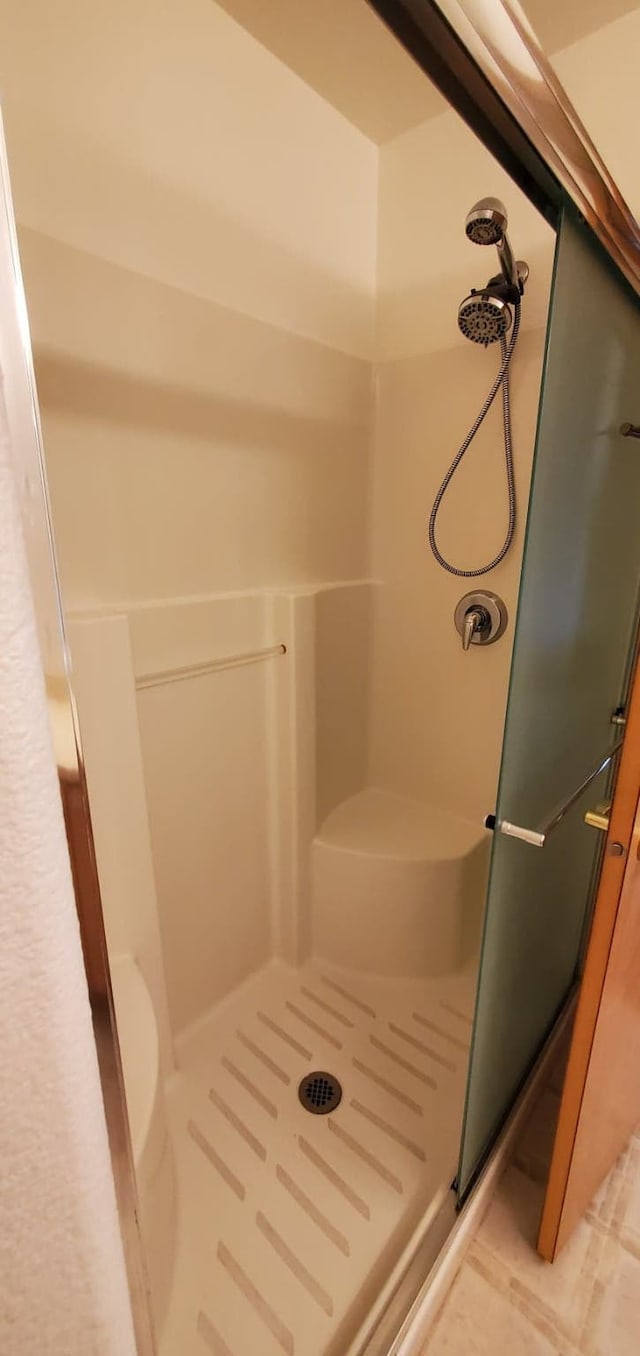 42843 Jette Lake Trl, Polson, MT 59860 - bathroom with a stall shower