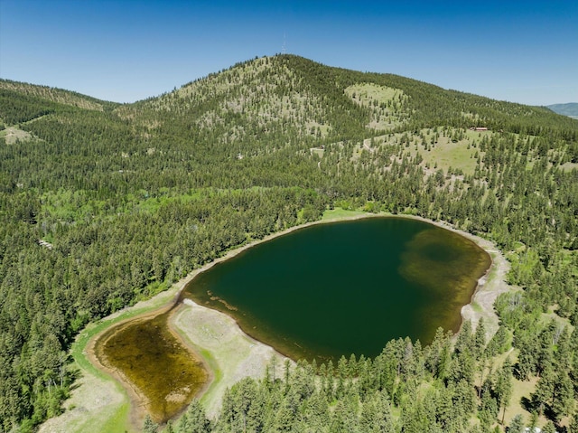 42843 Jette Lake Trl, Polson, MT 59860 - aerial overview of property's location featuring a heavily wooded area and a water and mountain view