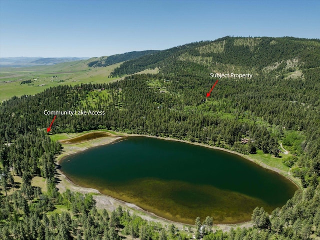 42843 Jette Lake Trl, Polson, MT 59860 - aerial overview of property's location featuring a forest and a water and mountain view