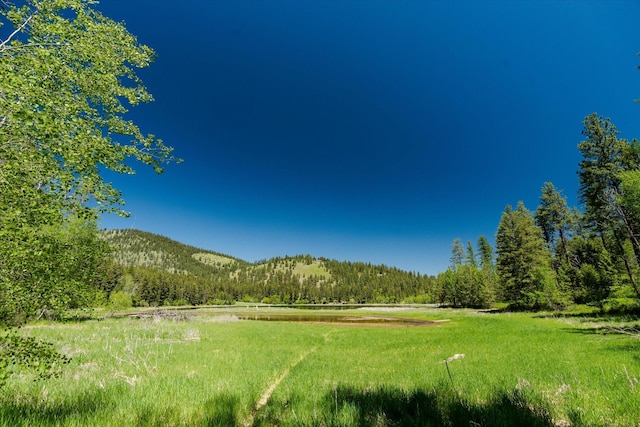 42843 Jette Lake Trl, Polson, MT 59860 - view of home's community featuring a mountain view and a view of trees