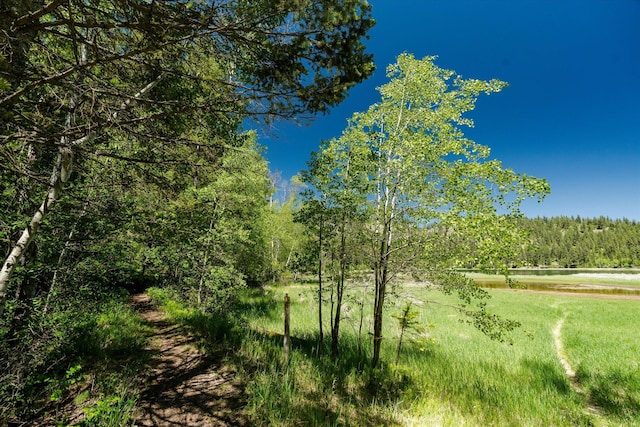 42843 Jette Lake Trl, Polson, MT 59860 - view of wooded area