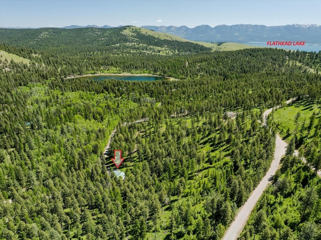 42843 Jette Lake Trl, Polson, MT 59860 - bird's eye view of a forest and a water and mountain view
