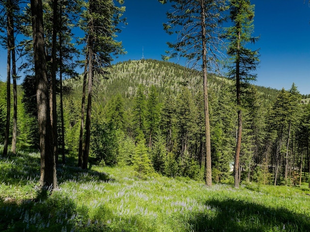 42843 Jette Lake Trl, Polson, MT 59860 - view of mountain background featuring a forest