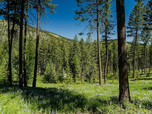 42843 Jette Lake Trl, Polson, MT 59860 - view of wooded area