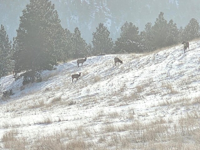 TBD Fiddlers Grn, Montana City, MT 59634