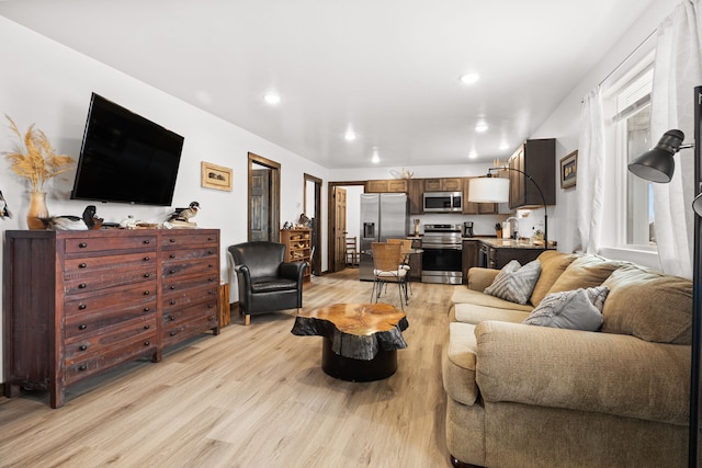 108 Timmons St, Dillon, MT 59725 - living area featuring light wood-style flooring and recessed lighting