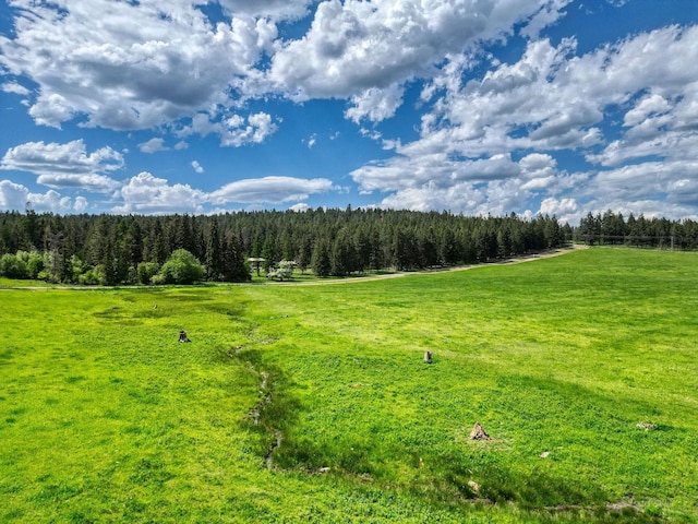 NHN Danielson Rd, Kalispell, MT 59901