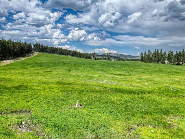 NHN Danielson Rd, Kalispell, MT 59901