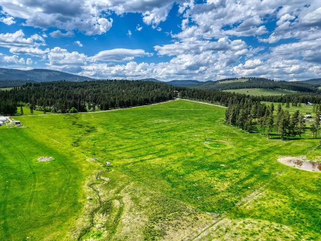 NHN Danielson Rd, Kalispell, MT 59901