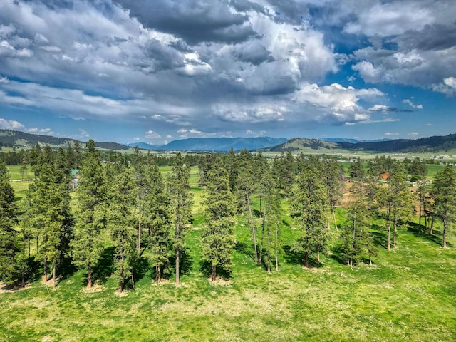 NHN Danielson Rd, Kalispell, MT 59901