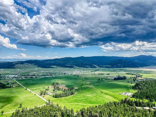 NHN Danielson Rd, Kalispell, MT 59901