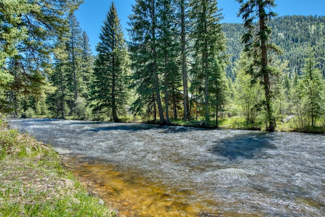 1795 E Fork Rd, Sula, MT 59871 - water view featuring a heavily wooded area