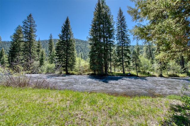 1795 E Fork Rd, Sula, MT 59871 - water view featuring a forest