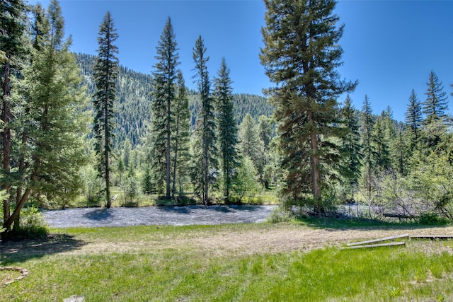 1795 E Fork Rd, Sula, MT 59871 - view of yard featuring a wooded view