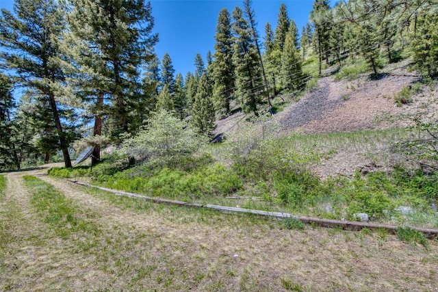 1795 E Fork Rd, Sula, MT 59871 - view of yard