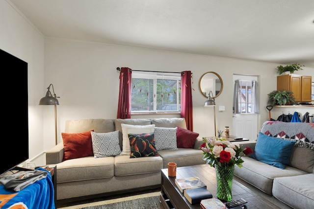 245 Marcus St, Hamilton, MT 59840 - living room featuring crown molding