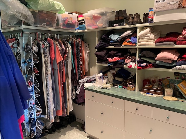 50-60 Willow Bend Ln, Cascade, MT 59421 - view of walk in closet