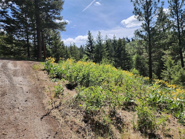 19063 Copper Ridge Trl, Florence, MT 59833